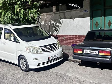 Toyota Alphard, 2004 — фото 2