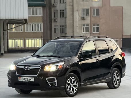Subaru Forester, 2019 — фото 3