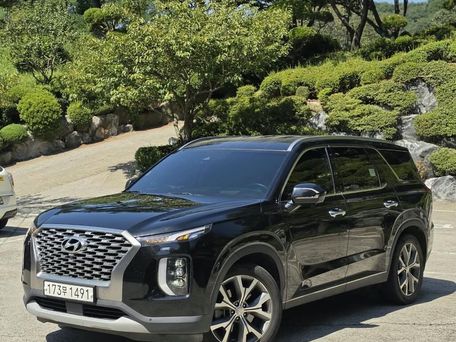 Hyundai Palisade, 2021 — фото 3