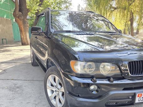 BMW X5, 2003 — 照片 9