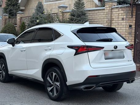 Lexus NX, 2020 — фото 4