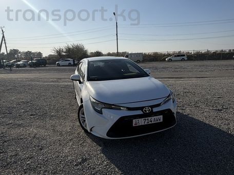 Toyota Corolla, 2019 — photo 2