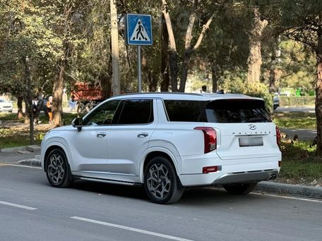 Hyundai Palisade, 2020 — photo 2