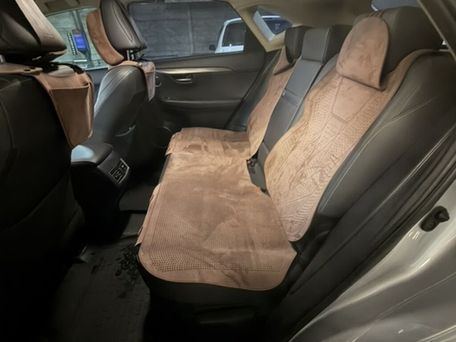 Lexus NX, 2019 — 照片 6