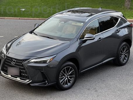 Lexus NX, 2021