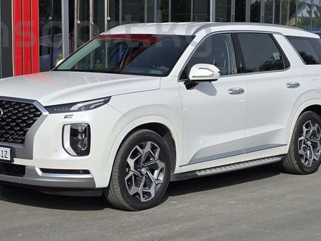 Hyundai Palisade, 2020 — фото 2