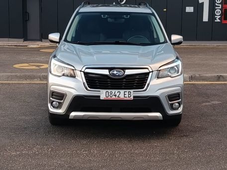 Subaru Forester, 2020 — фото 1