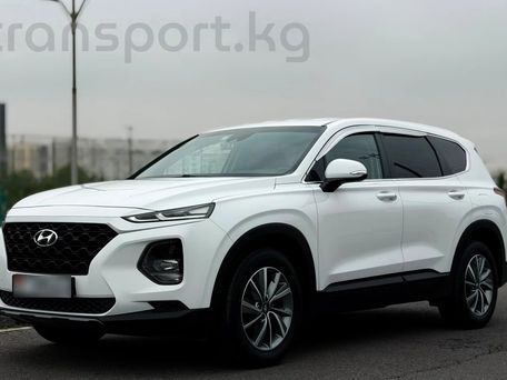 Hyundai Santa Fe, 2019 — фото 5