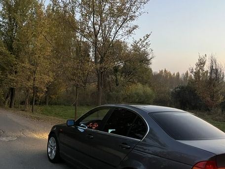 BMW 3 серии, 2003 — 照片 2