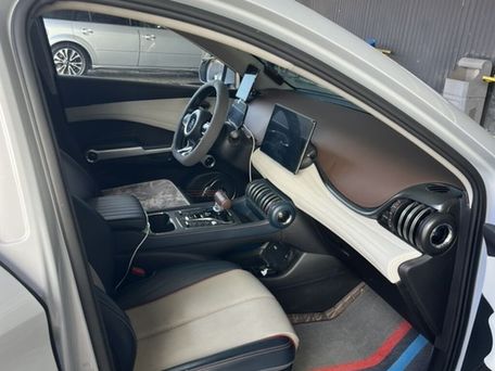 BYD Yuan Plus, 2023 — photo 10