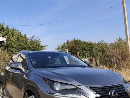 Lexus NX, 2019 — 照片 2