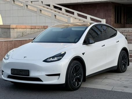 Tesla Model Y, 2023 — фото 3