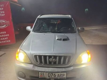 Hyundai Terracan, 2021