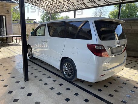 Toyota Alphard, 2008 — photo 3