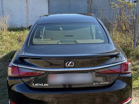 Lexus ES, 2020 — сүрөт 2