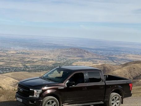 Ford F-150, 2019 — 照片 4