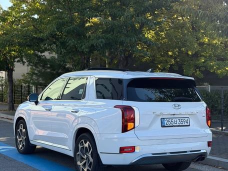 Hyundai Palisade, 2021 — photo 3