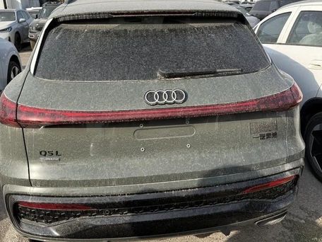 Audi Q5, 2024 — фото 2
