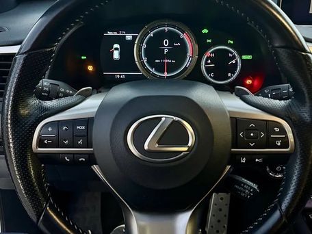 Lexus RX, 2019 — фото 12