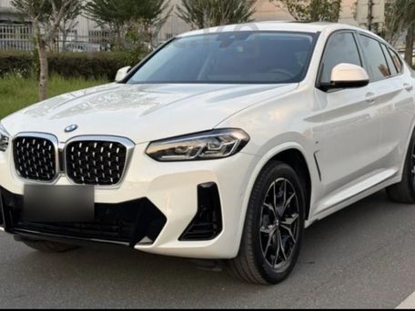BMW X4, 2021 — фото 1