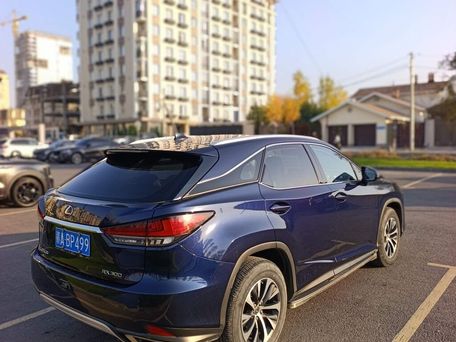 Lexus RX, 2019 — сүрөт 5