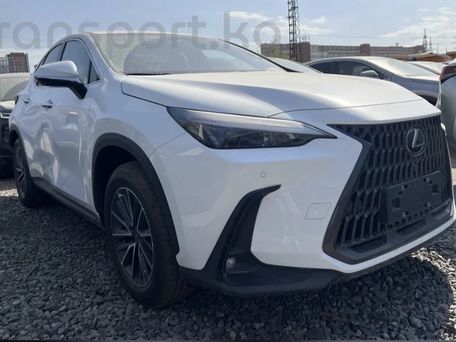 Lexus NX, 2025 — фото 2