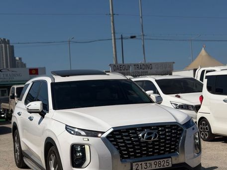 Hyundai Palisade, 2020 — сүрөт 13