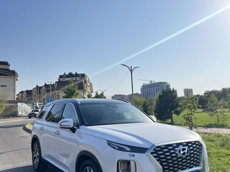 Hyundai Palisade, 2019 — фото 6