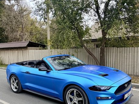 Ford Mustang, 2019 — photo 2