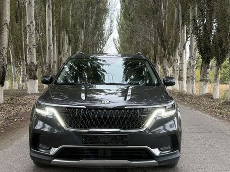 Kia Carnival, 2020 — фото 4