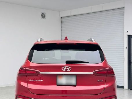 Hyundai Santa Fe, 2018 — фото 8