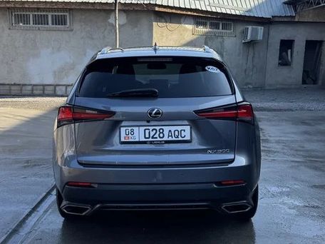 Lexus NX, 2018 — 照片 7