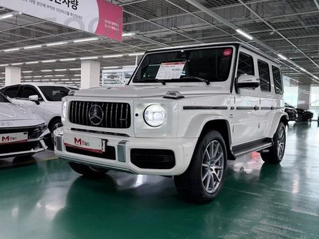 Mercedes-Benz G-Класс AMG, 2020 — фото 12