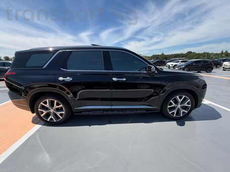 Hyundai Palisade, 2020 — 照片 8