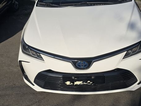 Toyota Corolla, 2020 — photo 1