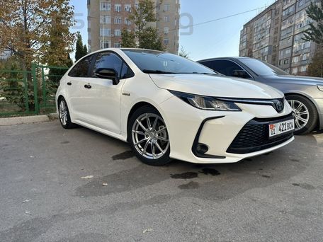 Toyota Corolla, 2023 — photo 1