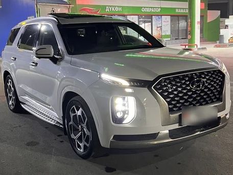 Hyundai Palisade, 2021 — сүрөт 9