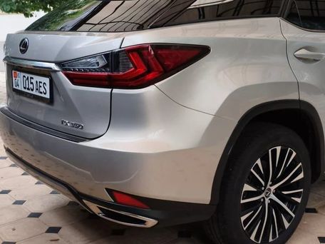 Lexus RX, 2020 — photo 8