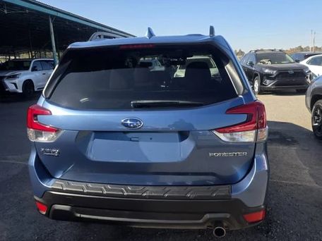 Subaru Forester, 2023 — photo 8