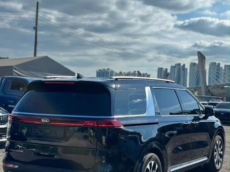 Kia Carnival, 2020 — photo 5
