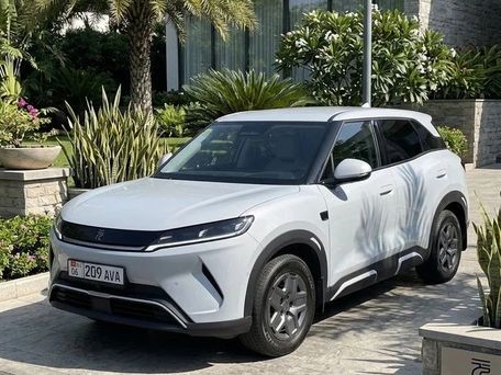 BYD Yuan Up, 2025 — photo 4