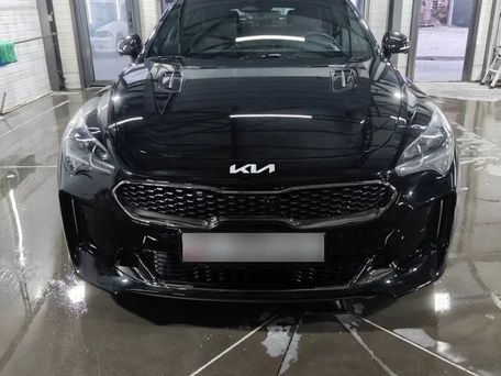Kia Stinger, 2021 — 照片 11