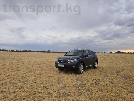 Lexus RX, 2010 — photo 4