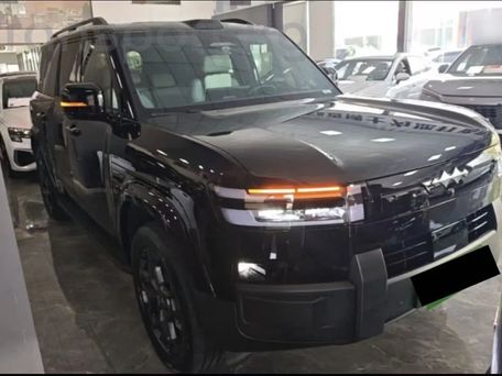 BYD FangChengBao Titanium 7, 2025 — фото 2