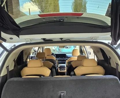 Kia Carnival, 2020 — photo 7