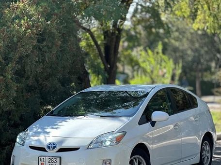 Toyota Prius, 2010 — фото 1