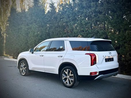 Hyundai Palisade, 2021 — photo 5
