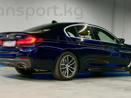 BMW 5 серии, 2020 — 照片 5