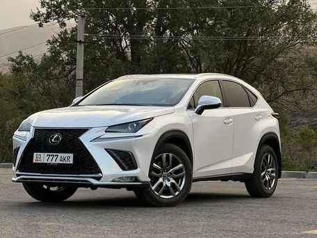 Lexus NX, 2018 — фото 3