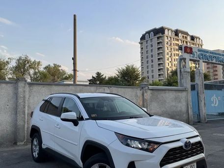 Toyota RAV4, 2019 — фото 2